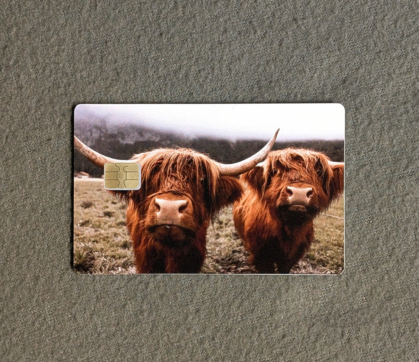 Mini Highland Credit/Debit Card Sticker, Skin, Cover