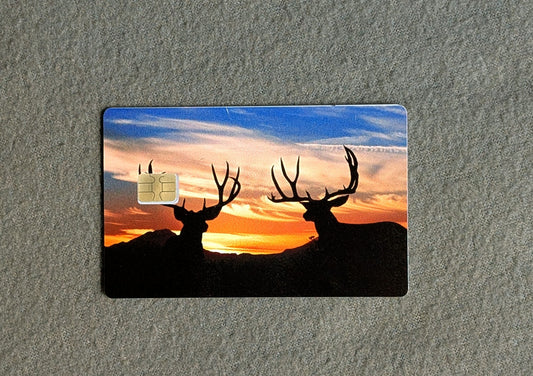 Sunset Bucks Credit/Debit Card Sticker, Skin, Cover