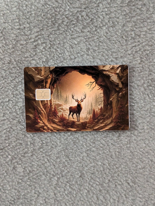 Big Rack Credit/Debit Card Sticker, Skin, Cover